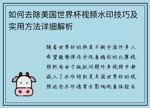 如何去除美国世界杯视频水印技巧及实用方法详细解析