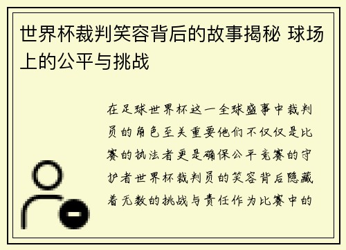 世界杯裁判笑容背后的故事揭秘 球场上的公平与挑战